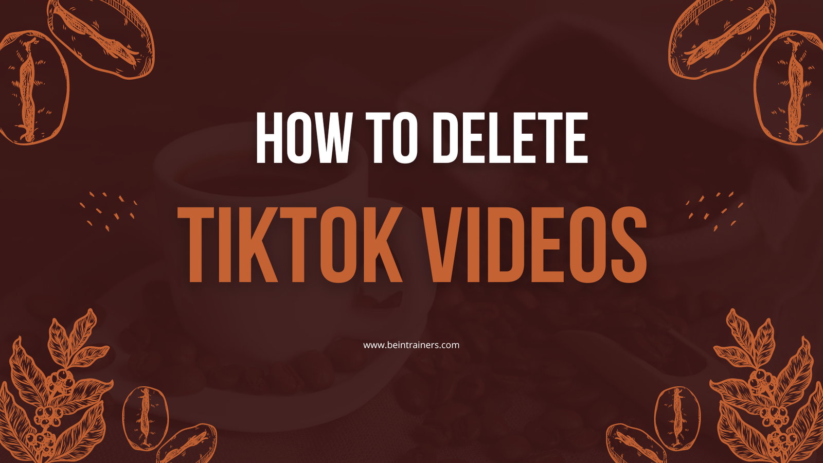 How To Delete Tiktok Videos? And How To Download?