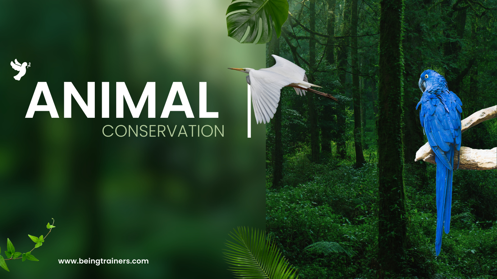 what is the goal of wildlife conservation