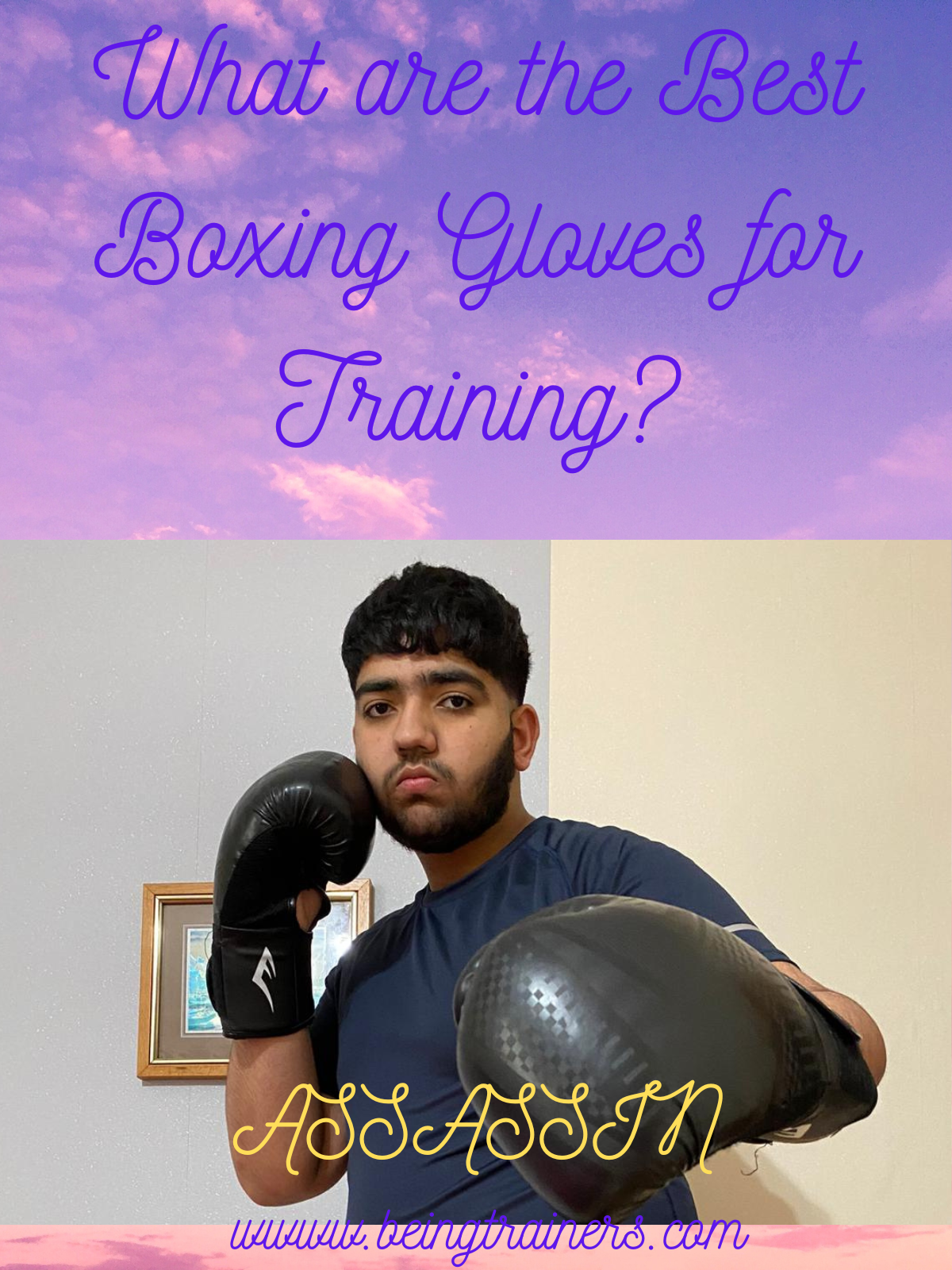 What are the Best Boxing Gloves for Training?